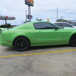 8-15-2013 Green Mustang